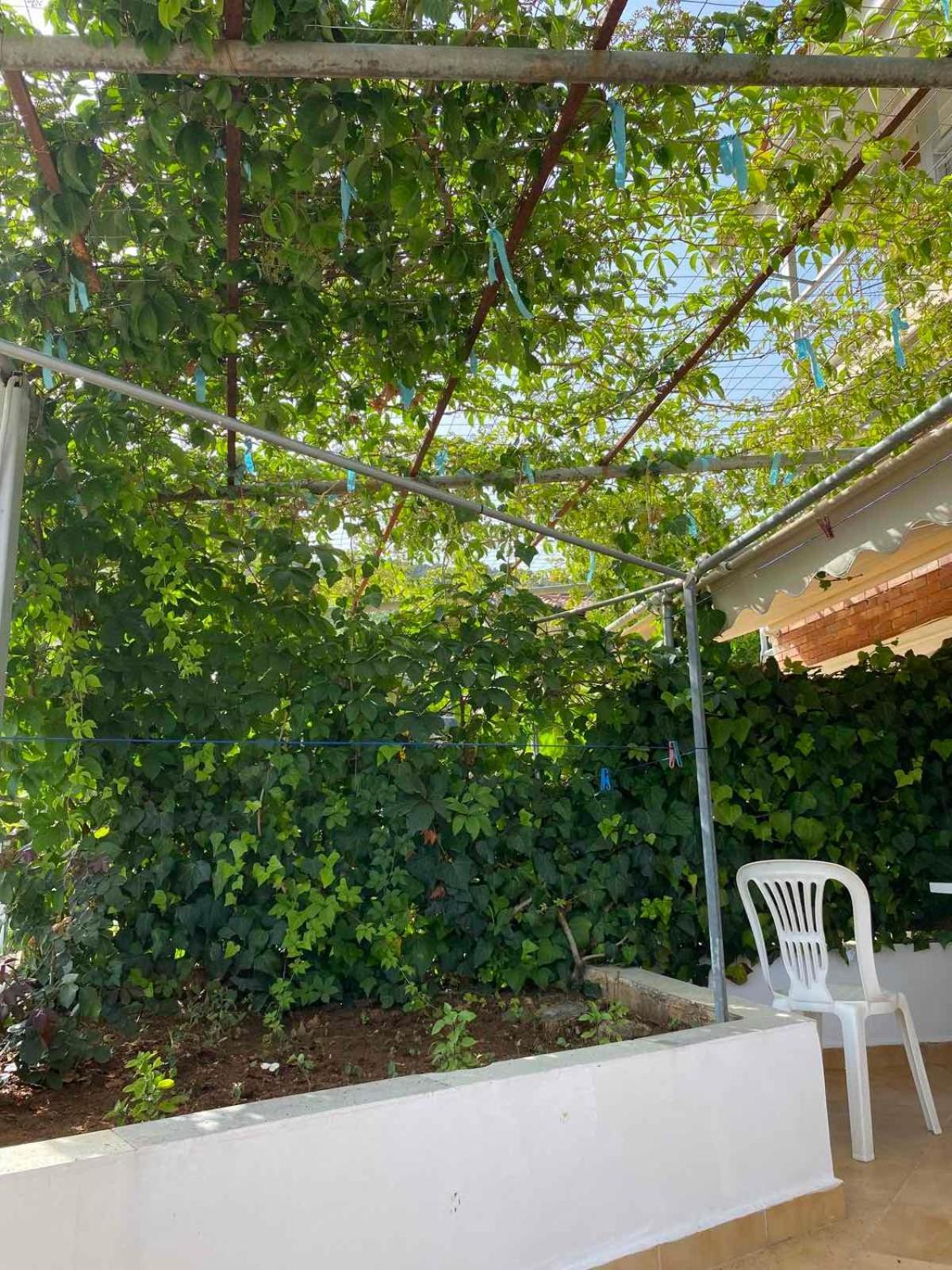 Garden *