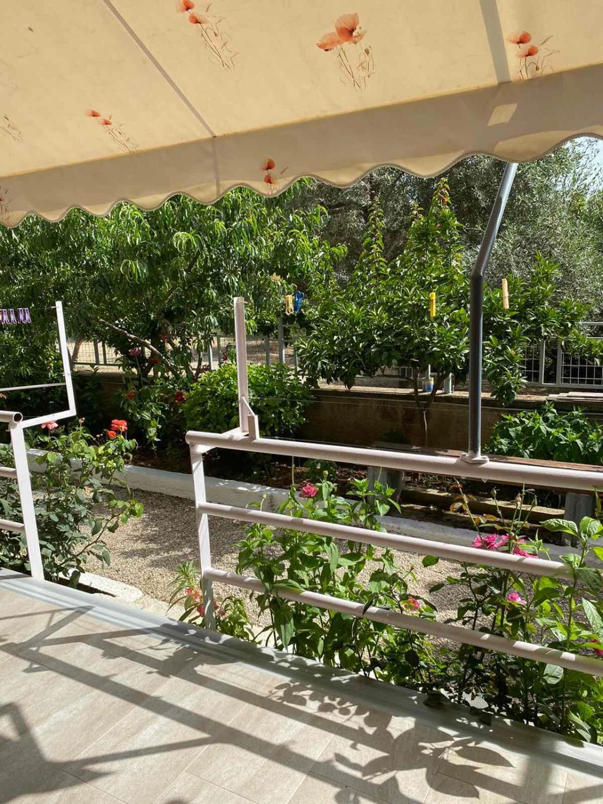Guest house Garden *